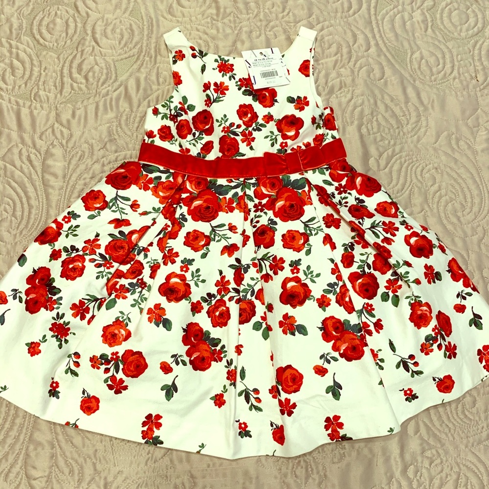 Janie and jack dress
